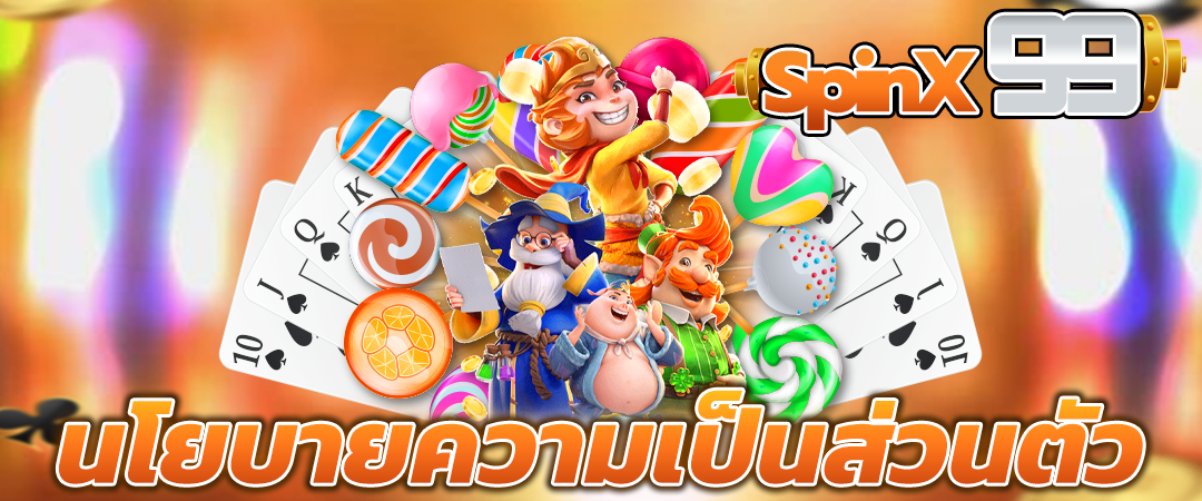 นโยบายความเป็นส่วนตัว